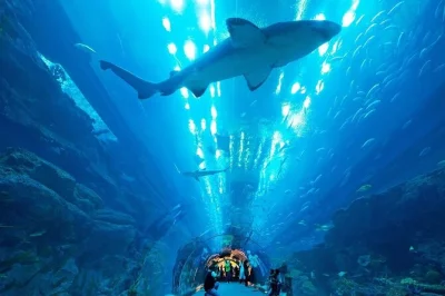 Réservez vos billets pour le dubai aquarium & underwater zoo. découvrez 33 000 créatures marines, traversez le tunnel, visitez penguin cove et admirez king croc au dubai mall.