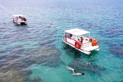 Découvrez les récifs de maracajaú en catamaran, profitez d’un déjeuner local et d’une journée complète au départ de natal avec prise en charge à l’hôtel et matériel de snorkeling inclu