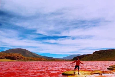 Descubra o tour pela laguna roja no chile. visite a lagoa vermelha, veja petroglifos antigos e aproveite café da manhã e almoço com guias especializados.