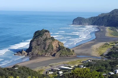 Erlebe auckland von seiner wilden seite – regenwaldpfade, māori-schnitzereien, schwarzer sand am piha beach und nachmittagstee. inklusive hotelabholung & lokaler guide.