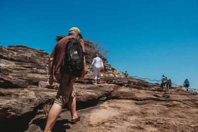 Feel ancient art at ubirr, cruise the east alligator river with indigenous guides, and step into arnhem land on this small-group kakadu day trip with pickup and lunch.