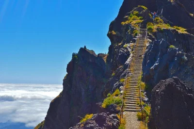 Cammina tra antiche foreste di erica, attraversa creste rocciose selvagge e raggiungi la vetta del pico ruivo in questo trekking di un giorno a madeira con guida locale e pick-up dall’hotel a funcha