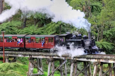 Recorre las dandenong ranges en el tren puffing billy, descubre la fauna en healesville sanctuary y disfruta del mejor chocolate en yarra valley. entradas incluidas.