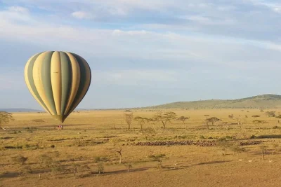 Float above serengeti at sunrise on a balloon safari, spot wildlife from the sky, and share a full english breakfast under an acacia tree. includes sparkling wine toast.