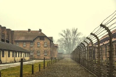 Quiet, respectful day trip from krakow to auschwitz-birkenau with hotel pickup, museum entry, and an expert guide. experience history up close in a small group.