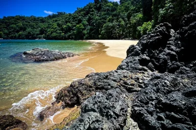 Join a coastline snorkel and bbq trip. swim with dolphins, turtles, and manta rays. grill your catch, enjoy local dishes, and relax at the open boat bar.