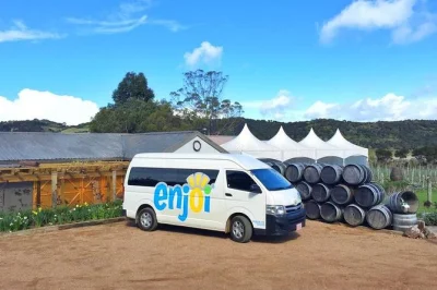 Sip award-winning wines on waiheke island, relax at boutique vineyards, and enjoy a long vineyard lunch with easy transfers and a local guide included.