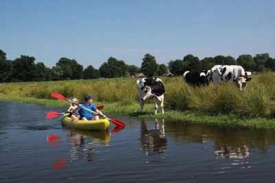 Scopri la campagna olandese in bici e kayak da amsterdam, con visita al mulino a vento, pause nei villaggi e gruppo ristretto. tutto l’equipaggiamento e le tasse incluse.