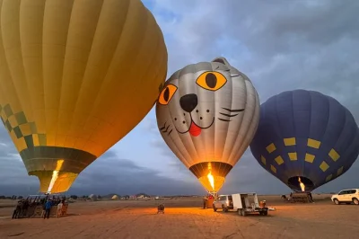 Book a hot air balloon ride near marrakech. see atlas mountains at sunrise, enjoy local breakfast, and get picked up from your riad or hotel.