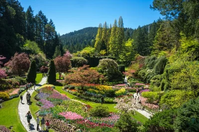 Scopri victoria e i butchart gardens in un’escursione da vancouver con traghetto, guida locale, soste panoramiche e ingressi inclusi.