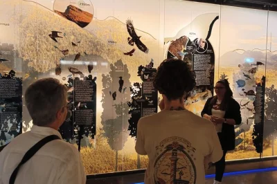 Descubre el peloponeso en una excursión privada desde atenas: viaja en el tren odontotos, explora la cueva de los lagos y disfruta un almuerzo tradicional en la montaña. incluye recogida.