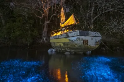Vive la magia de las aguas brillantes de nicoya en un tour en kayak bioluminiscente con guía local, snacks y todo el equipo incluido. recogida cerca del ferry de paquera.