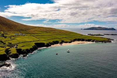 Respirez l’air sauvage de l’atlantique lors d’une balade en bateau à dingle bay vers les grandes Îles blasket. observez dauphins, phoques et macareux autour de slea head avec un guide local 