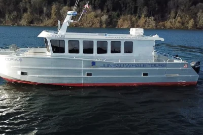 Viva a emoção de observar baleias em juneau num catamarã aconchegante para 20 pessoas, com cabine aquecida, deck para caminhar e traslado incluso para um passeio tranquilo.