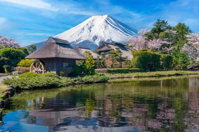 Descubra o monte fuji em um passeio privado saindo de tóquio com paradas flexíveis, motorista que fala inglês e traslado no hotel. inclui lago kawaguchi, teleférico e muito mais.