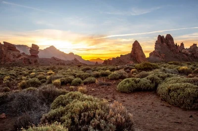 Erlebe die höhenluft bei einer privaten teide-seilbahn-tour ab teneriffa mit bequemer abholung und einem lokalen guide. entdecke vulkanische landschaften und spaniens höchsten gipfel.