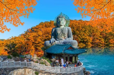 Feel the mountain air at mount seorak, wander naksansa temple by the sea, and travel from seoul with a local guide—transport and entry tickets included.