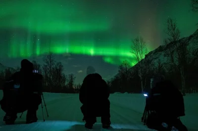 Chase the northern lights near tromsø with local guides, warm ponchos, and photos available. includes early return to city center so you’re rested for tomorrow.