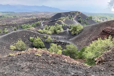 Sinta a textura das trilhas de lava do etna, prove vinhos sicilianos no almoço e refresque-se no desfiladeiro de alcântara — com transporte fácil saindo de taormina.
