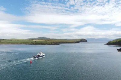 Découvrez la péninsule de dingle en bateau, écoutez les récits locaux et tentez d’apercevoir des dauphins. bateau accessible aux fauteuils roulants avec toilettes à bord.