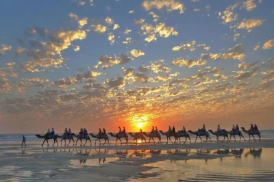 Let the colors of broome’s cable beach sink in as you ride camels at sunset, feed them carrots, and get a small pearl gift. includes pickup options and local guide.