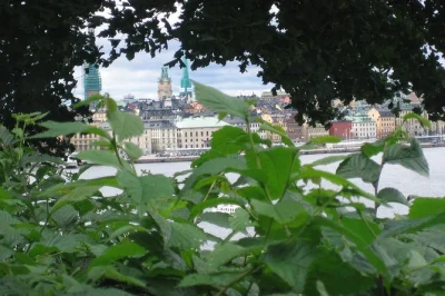 See stockholm’s old town, vasa museum & drottningholm palace in one day with a small group, skip-the-line entry, lunch included, and hotel pickup.