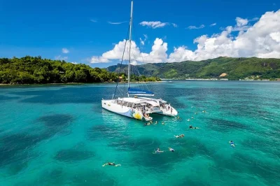 Swim with colorful fish in sainte anne, meet giant tortoises on moyenne island, and enjoy a creole lunch by the sea. includes pickup and all fees.
