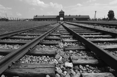 Heavy silence, distant birds, and the weight of history on a guided auschwitz & birkenau tour from krakow. includes hotel pickup, tickets, and english guide.