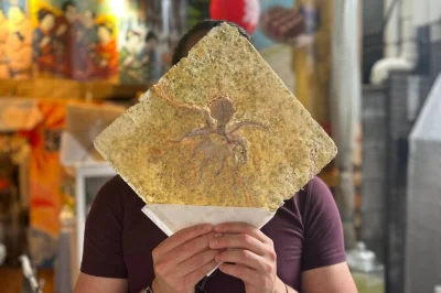 Descubre el mercado de pescado tsukiji en tokio con un guía local, prueba mariscos frescos y dulces en 15 paradas auténticas, visita templos y conoce historias únicas. incluye fotos.