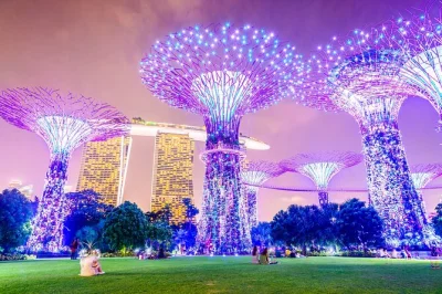 Feel singapore’s energy after dark with a river cruise, supertree light show, and spectra at marina bay. includes hotel pickup and local guide for a seamless night.