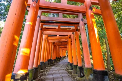 Erlebe kyoto mit seinen schreinen und den nara park voller rehe bei einem kleinen tagesausflug ab osaka – inklusive tickets, persönlichem guide und bequemen van-transfers.