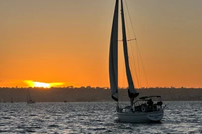 San diego bay bei sonnenuntergang segeln, delfine und seelöwen beobachten, drinks an deck genießen und die coronado bridge entdecken – kleine gruppe inklusive getränke.