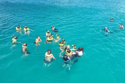 Swim with turtles and explore shipwrecks in carlisle bay, barbados. includes snorkel gear, glass-bottom views, drinks, and hotel pickup for a relaxed adventure.