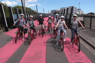 Erlebe auckland auf einer e-bike-tour mit lokalem guide, kleiner gruppe und kompletter ausrüstung. entdecke ponsonby, k road und die uferpromenade hautnah.