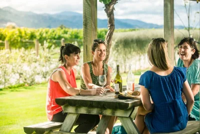 Meet local winemakers in marlborough, stroll vineyards, taste boutique wines, enjoy a relaxed vineyard lunch, and get pickup from blenheim or renwick included.