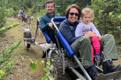 Descubre willow, alaska: conoce perros campeones de trineo, recorre senderos tranquilos y disfruta de un tour práctico en el kennel. incluye galletas, vistas al denali y todo el equipo.
