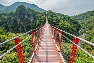 Feel the tension at korea’s dmz, walk the 3rd tunnel, cross dramatic suspension bridges or ride the imjin river. includes roundtrip transfer & expert guide.