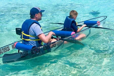 Glide through turks & caicos mangroves in a clear kayak, spot turtles and baby lemon sharks, and relax on grace bay beach. includes pickup and local guide.