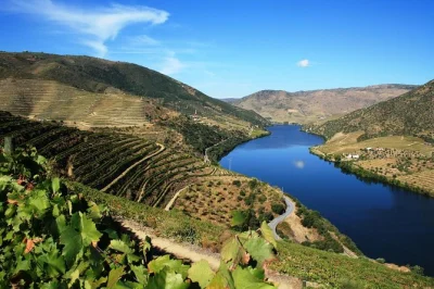 Scopri il valle del douro con 3 degustazioni in cantina, pranzo tra i vigneti e panorami spettacolari partendo da porto. include pick-up, guida locale e tutte le degustazioni.