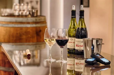 Step inside maison brotte in châteauneuf-du-pape for a wine museum visit, guided tasting of 5 rhône valley wines, and stories from a family estate. includes audioguide.