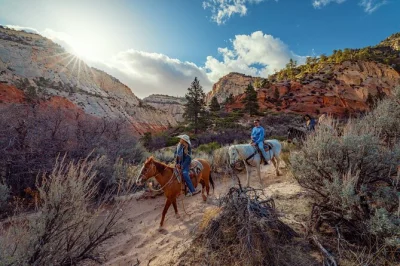 Breathe in east zion’s wild air on a small-group horseback ride and slot canyon walk, with all equipment included. local guides, real horses, and quiet trails await.