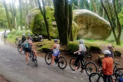 Descubra as ruas encantadas de sintra, prove doces típicos e pedale de e-bike pela costa selvagem de cascais. inclui bilhetes de trem e guia local.