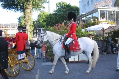 Feel the rhythm of copenhagen on a relaxed small group walking tour. explore nyhavn, amalienborg palace, tivoli gardens & more with a local guide included.