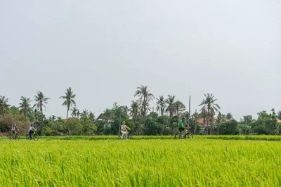 Pedala nella campagna di siem reap al tramonto, incontra la gente del posto e gusta snack e bevande fresche tra le risaie. include pick-up in hotel e guida in inglese.