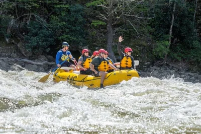 Feel the rush of french broad gorge whitewater rafting near asheville, with expert guides, all gear included, and a chance to swim in pisgah national forest.