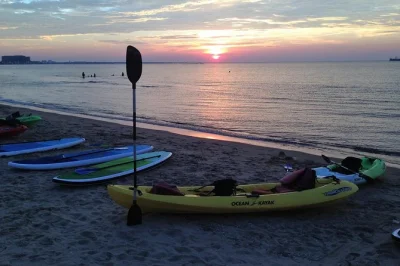 Feel the quiet rush of paddling chesapeake bay at sunset, spot wild dolphins near virginia beach, and glide past cape henry lighthouses on this small-group kayak tour with guide.