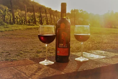 Pedal lucca’s city walls by e-bike, roll into tuscan vineyards for wine tasting and local bites, with a guide and all gear included. book your spot today.