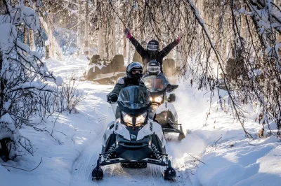 Disfruta de un tour en moto de nieve cerca de fairbanks, cruzando el oleoducto de alaska y bosques nevados. incluye ropa térmica, guía local y avistamiento de animales.