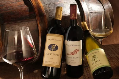 Descubra os vinhos doc de bolgheri entre vinhedos próximos à vila, visite adegas históricas e prove com pão e azeite toscano. guia em inglês ou italiano incluso.