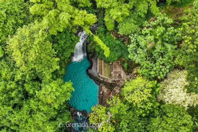 Jump into grenada’s wild side—river tubing on balthazar, swim at annandale falls, spot monkeys at grand etang. includes pickup, local guide, and bottled water.